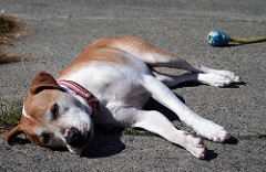 2322494215_0d90bb4bdb_m