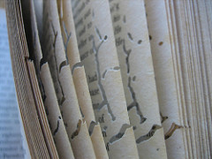 3373551962_89e8ab04bc_m