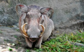 4312737471_2c14ec4f37_b